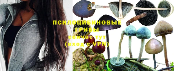 соль курить ск Алексеевка