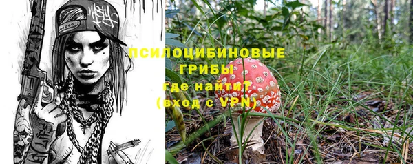 бутират Алексин